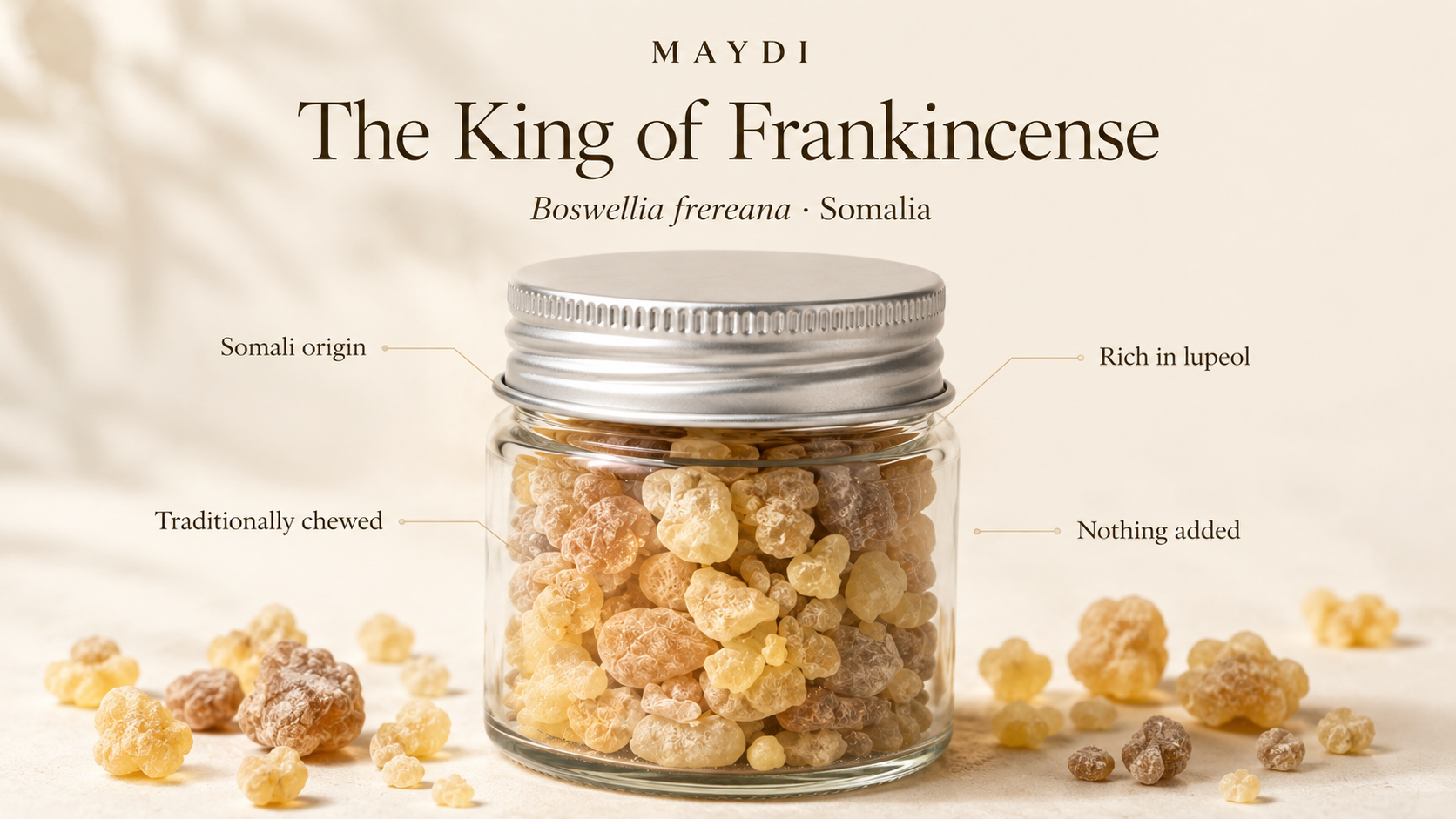 MAYDI — The King of Frankincense: a 50 ml glass jar of Boswellia frereana resin from Somalia, with loose resin pieces beside it