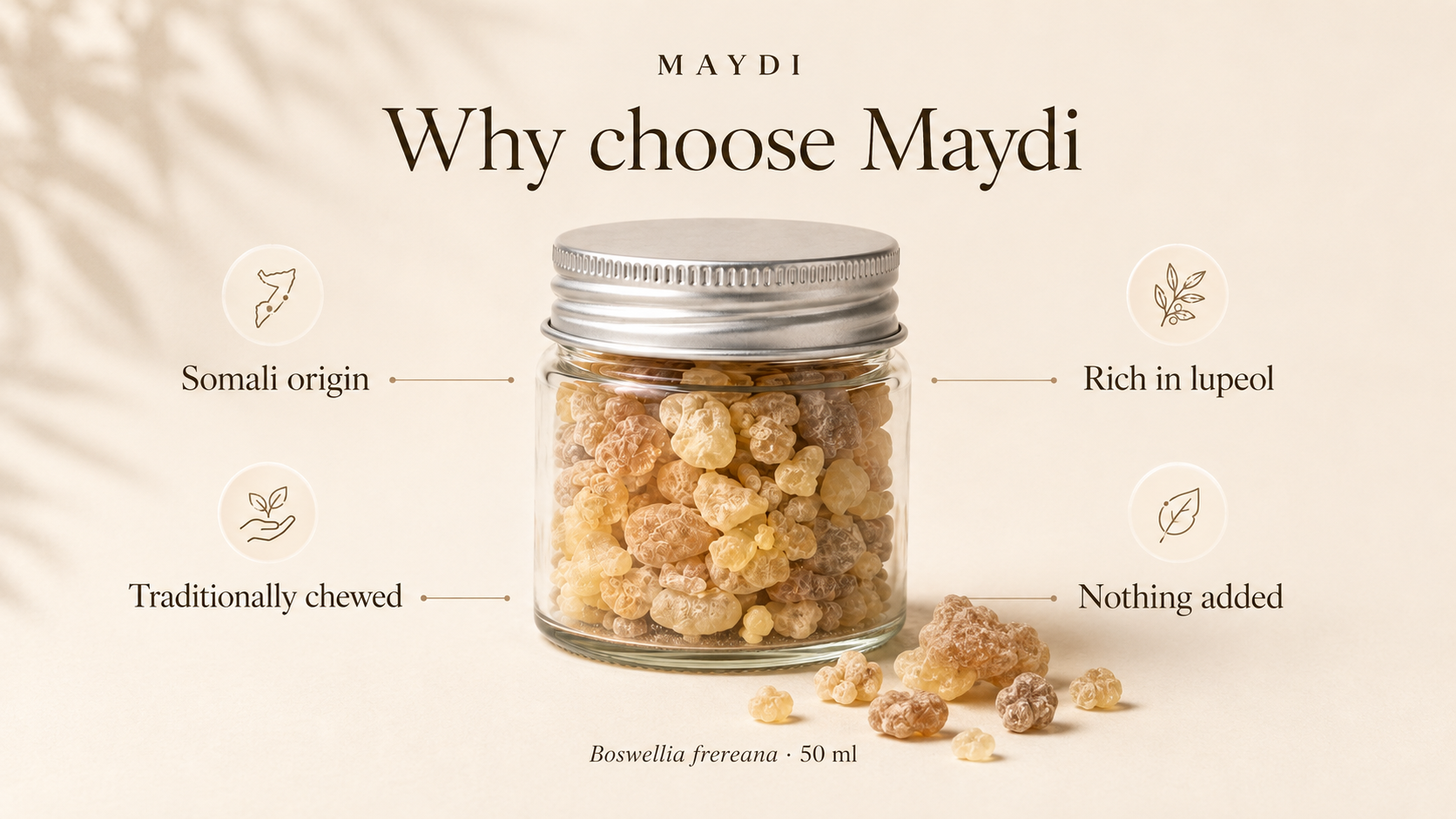 Why choose Maydi: Somali origin, traditionally chewed, rich in lupeol, nothing added